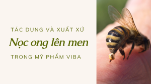 Nọc ong lên men trong mỹ phẩm ViBa có xuất xứ và tác dụng gì vậy ta
